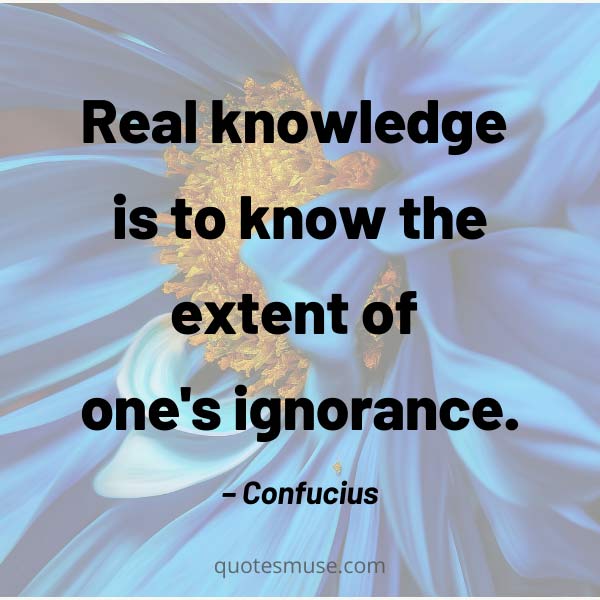 quotes about ignorance