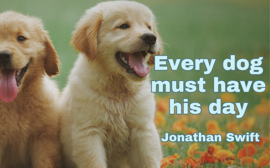 dog quotes