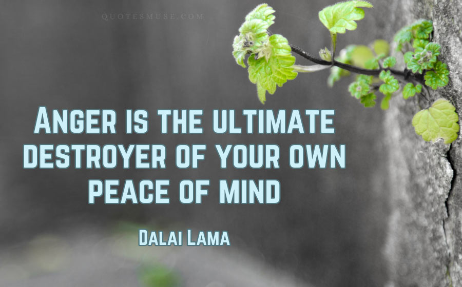 Peace of mind quotes saying
